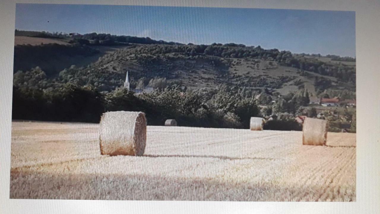 Studio du gite Wavrans-sur-l'Aa Esterno foto